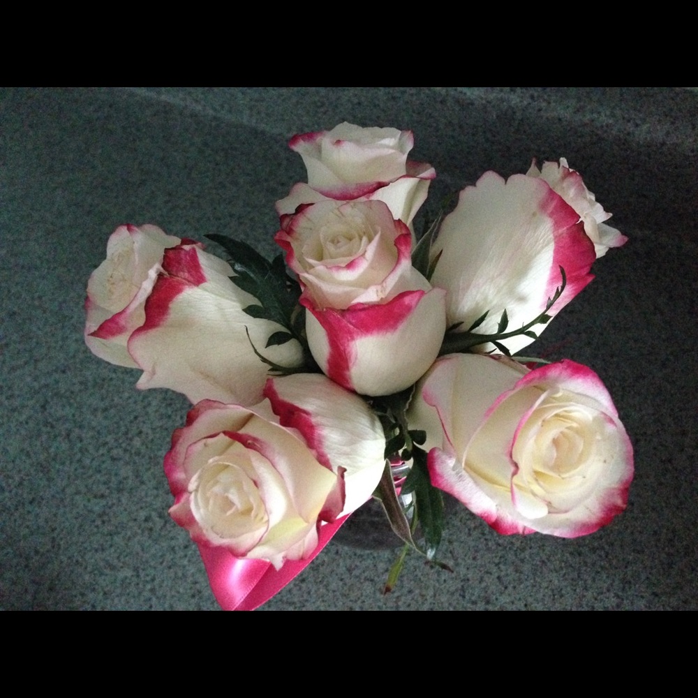 Meet your Posher, Ariana